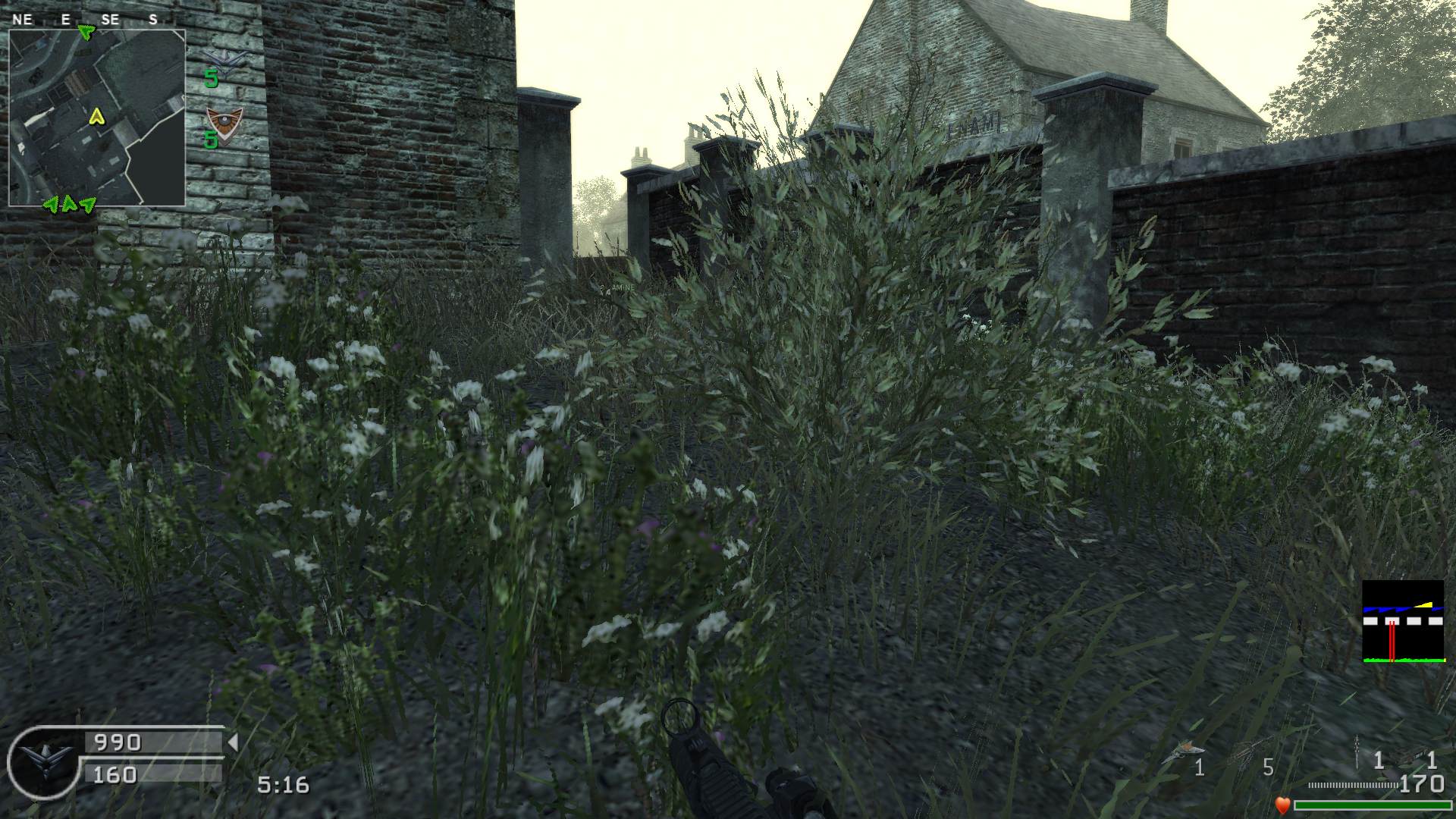 Jackal_