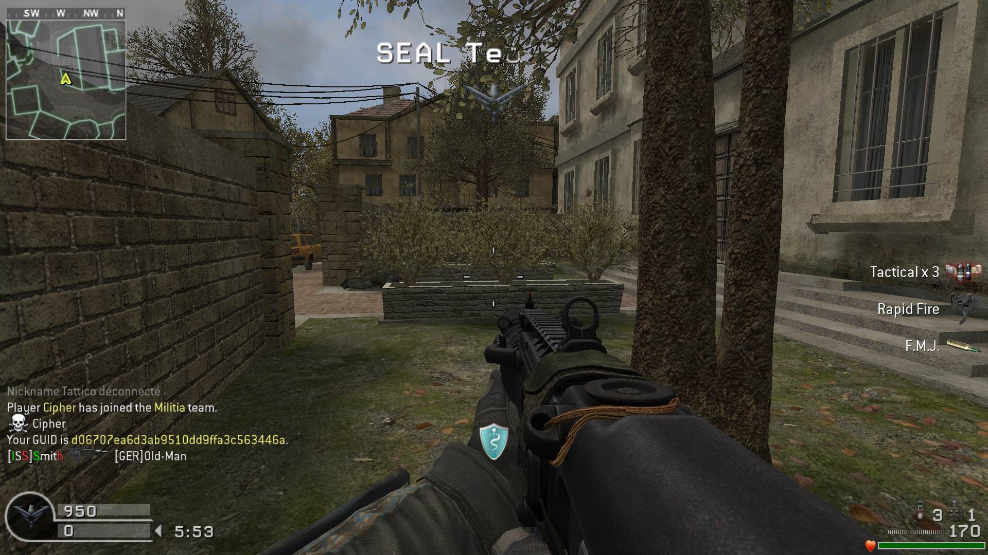 Pliplille2